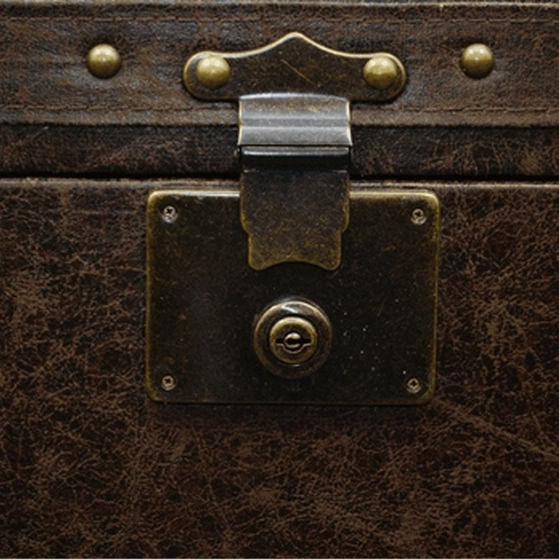 Touchstone Elevate Vintage Trunk Lift Cabinet (46 in, Aged Cigar) 72007 alternate image 3