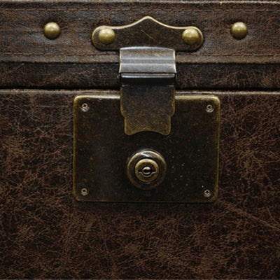 Touchstone Elevate Vintage Trunk Lift Cabinet (46 in, Aged Cigar) 72007 alternate image 3