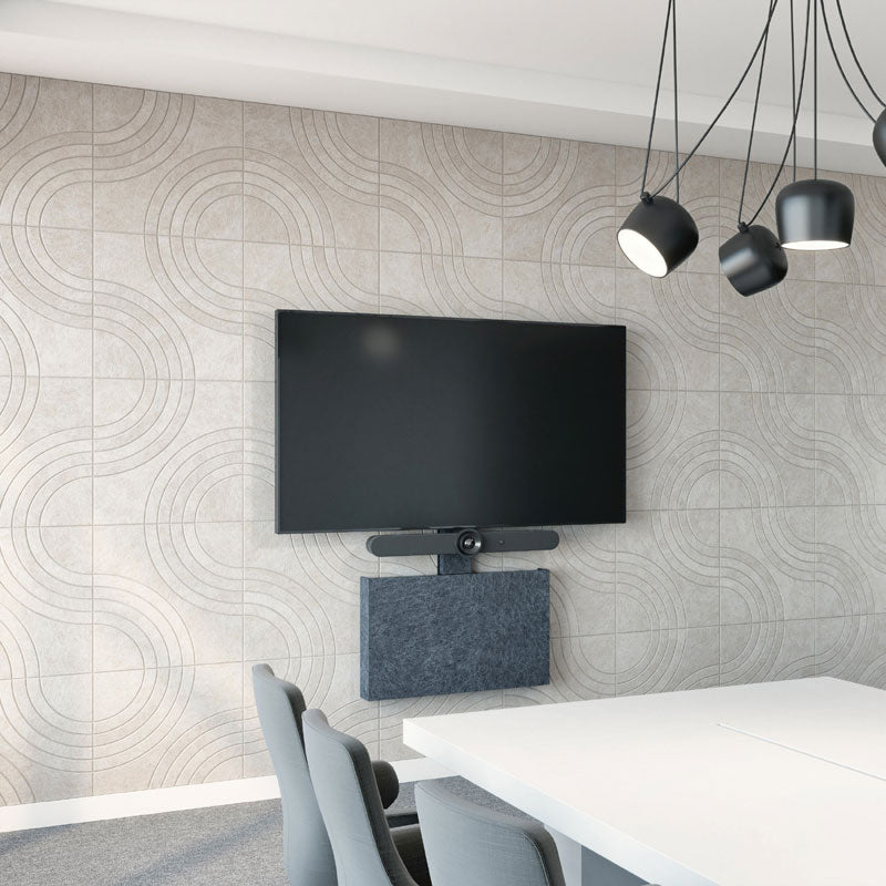 Chief Fusion Storage Cabinet and Camera Mount FCASTC, single-display conference room installation
