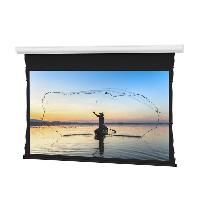 Da-Lite 14538 Tensioned Designer Contour Electrol (Da-Mat, 16:9, Agility Battery Motor, 110 inch)