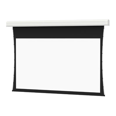 Da-Lite 14109FL Tensioned Lg Advantage REC Electric Screen, front view with white screen surface