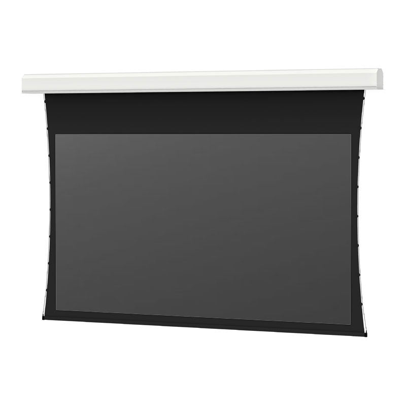 Da-Lite 14109FL Tensioned Lg Advantage REC Electric Screen, front view with black screen surface