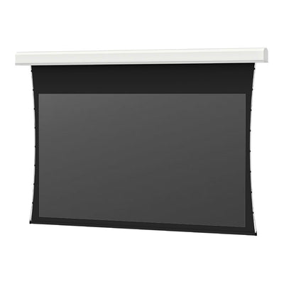 Da-Lite 14109FL Tensioned Lg Advantage REC Electric Screen, front view with black screen surface