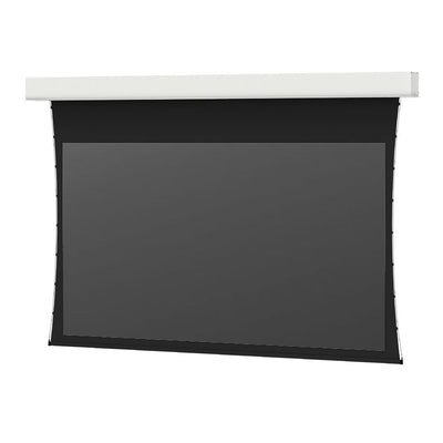 Da-Lite 24713FLS Tensioned Advantage REC Electric Screen, black projection surface front view