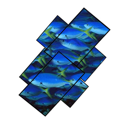 Chief FRA and FUSION Depth Accessory FCADA, artistic multi-display video wall with fish imagery