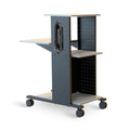 H. Wilson 4-Shelf Mobile Presentation Cart (Gray and Black, Electric) WPS4E