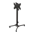 Crimson 72 inch Mobile Dual VESA Cart for Large Screens M55DV