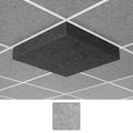 Middle Atlantic Nivo 2x2 Acoustic Ceiling Tile AUNV224DG2SLG