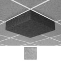 Middle Atlantic Nivo 2x2 Acoustic Ceiling Tile AUNV226DG2SLG