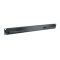 Middle Atlantic Blank Panel (1 RU, Aluminum, Flanged, Handles) BL1-H