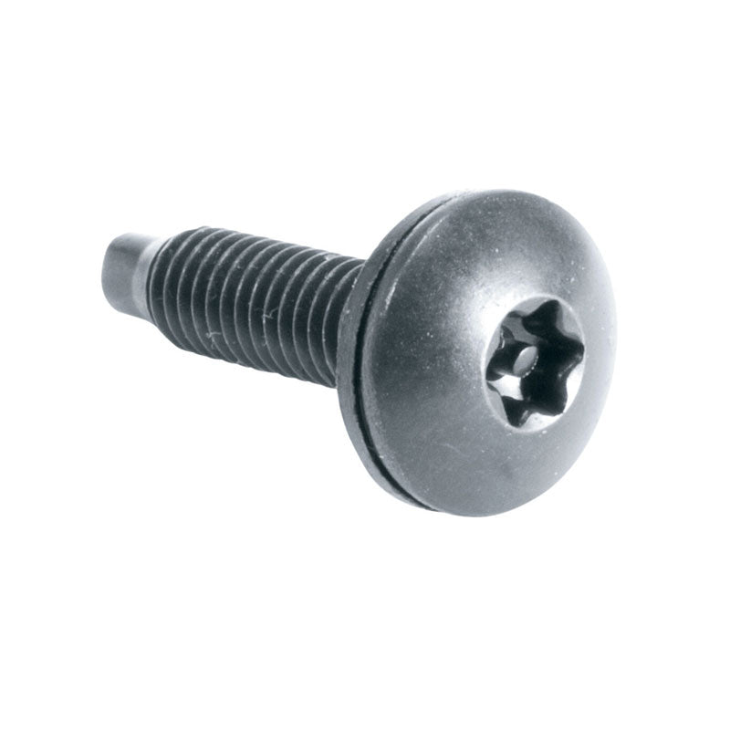 Middle Atlantic Security Rack Screws (10-32, Star Post Dr, 50 Pack) HTX